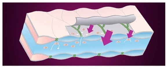 máy giúp trẻ hóa da kd 7702
